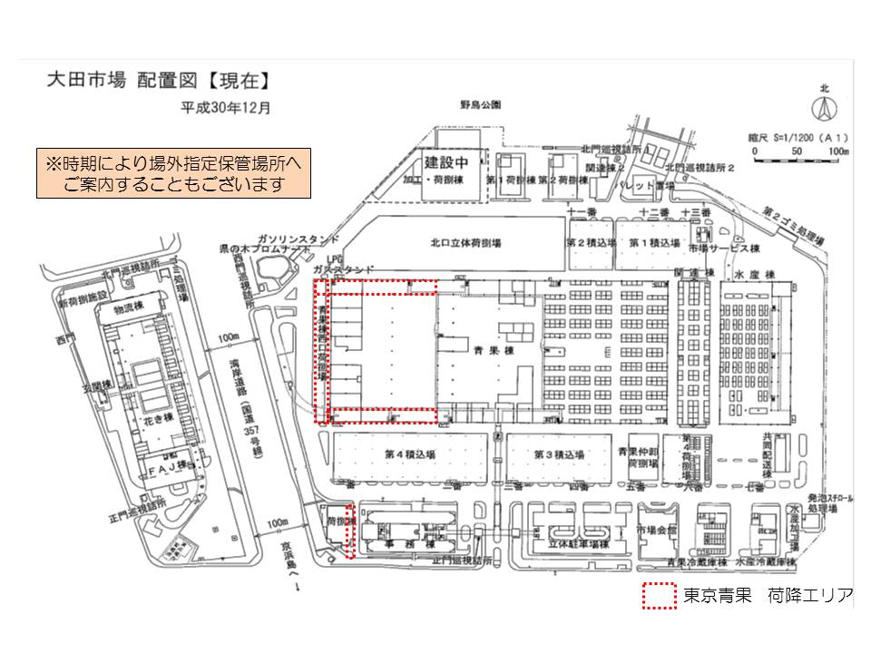 全体地図